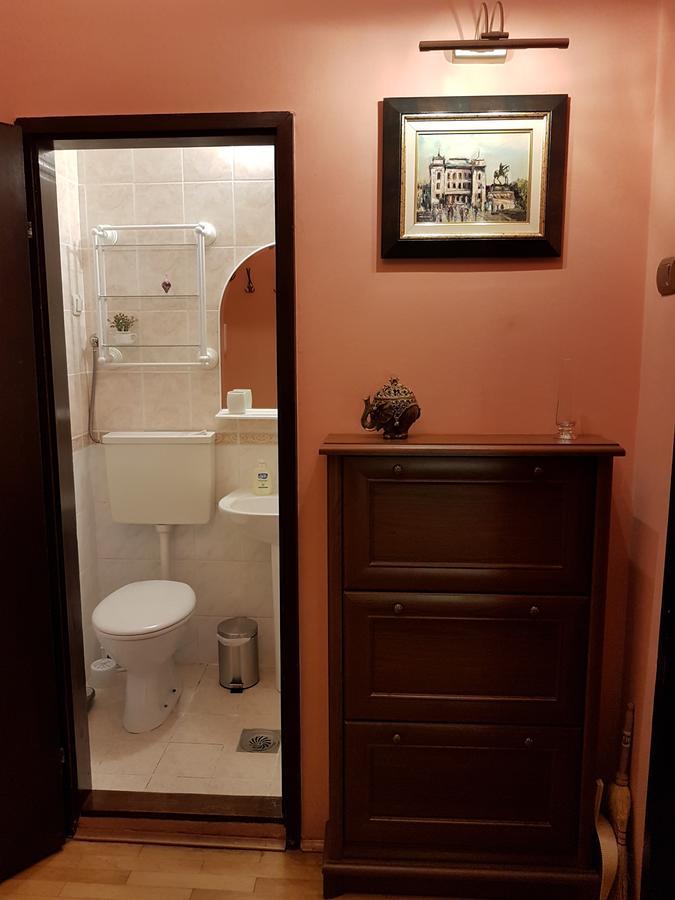 Classic Style Apartment ベオグラード エクステリア 写真